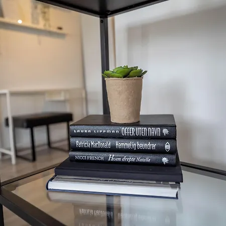 Nr6 4 Bedrooms * 斯塔万格